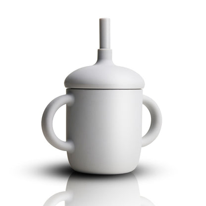 best leak proof sippy cup grey